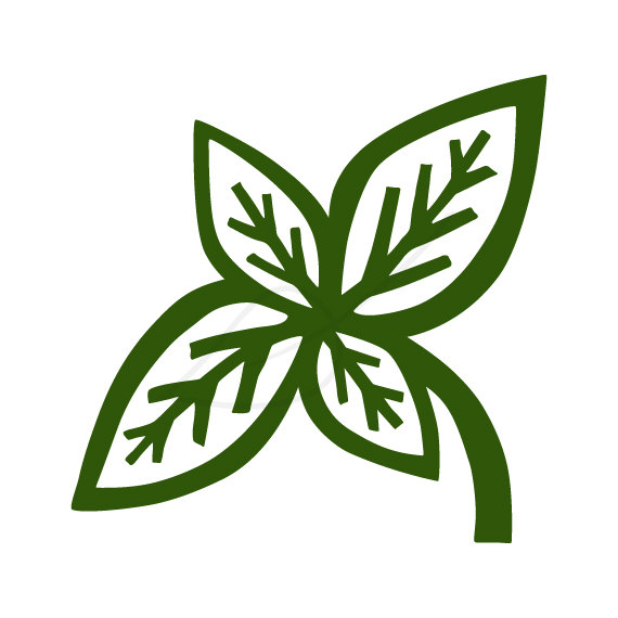 Herbal Leaf Cliparts