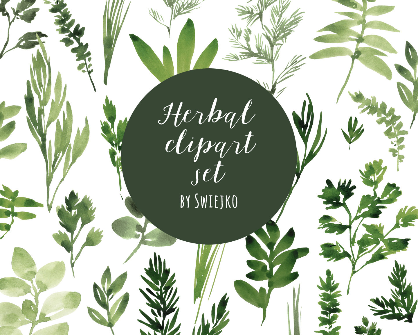 Free Herbal Leaf Cliparts, Download Free Clip Art, Free Clip