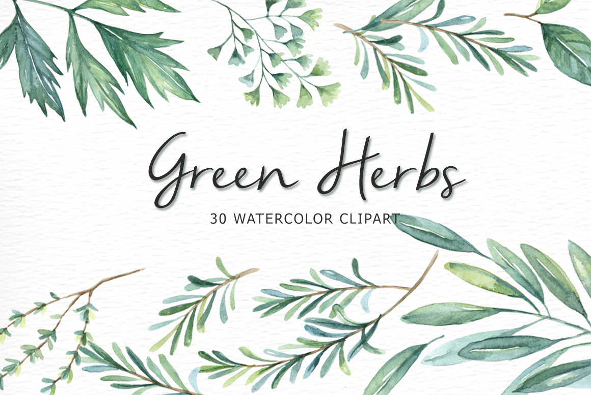 Green Herbs Watercolor clipart By everysunsun