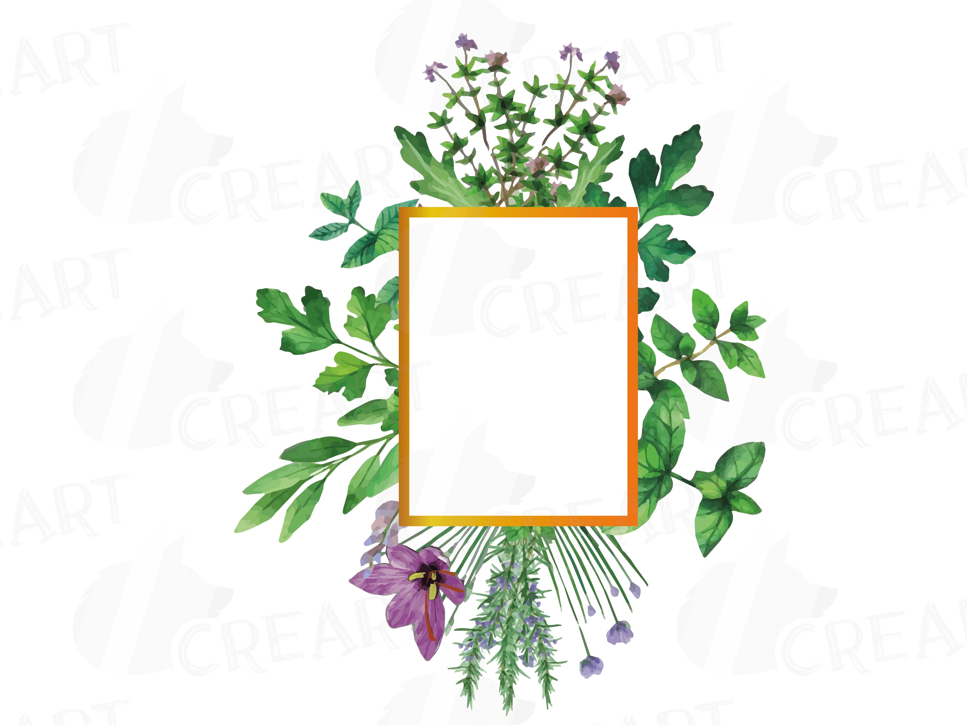 Herbs and Spices frames watercolor clip art pack, watercolor herb leaves  borders