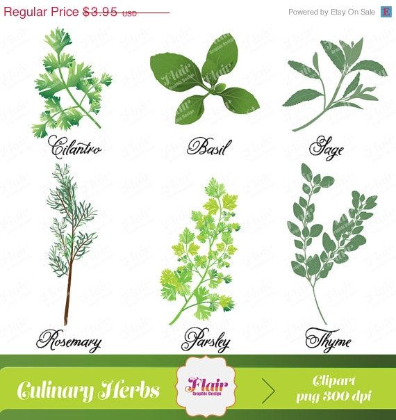Fragrant culinary herbs.