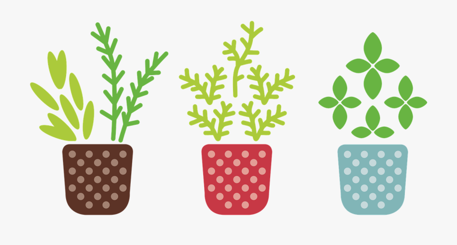 Herb Pot Plant Free Vector Graphic On