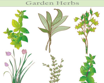 Free herb garden.
