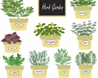 Free Herbal Leaf Cliparts, Download Free Clip Art, Free Clip