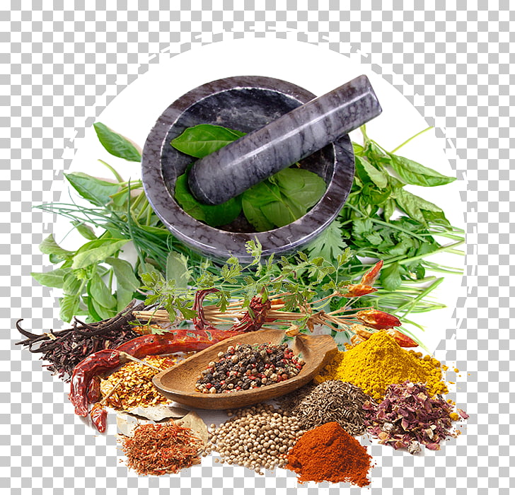 Herbalism Medicine Alternative Health Services Ayurveda
