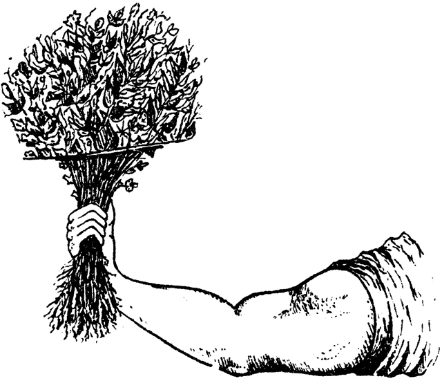 Human Arm Reaching for Herb Medicine
