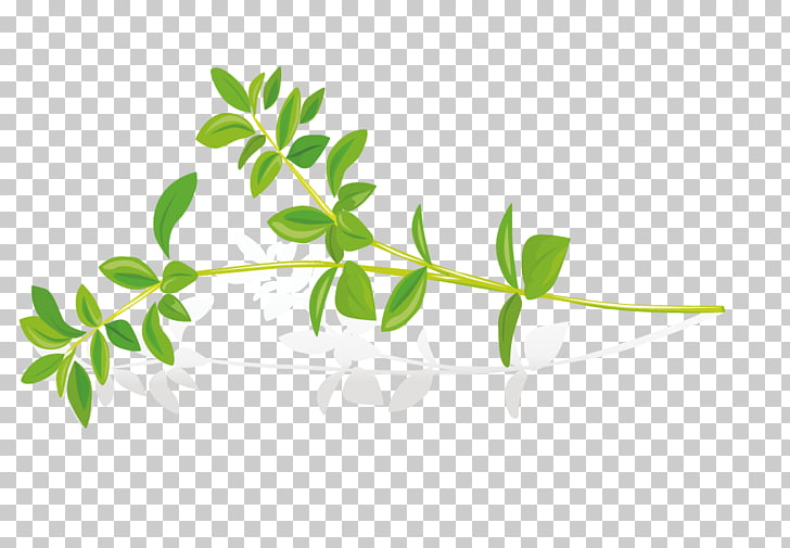 herbs clipart leaves