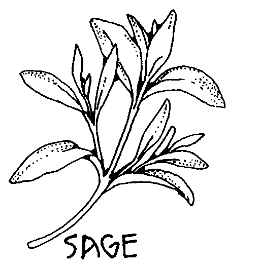 Free Herbs Clipart Black And White, Download Free Clip Art