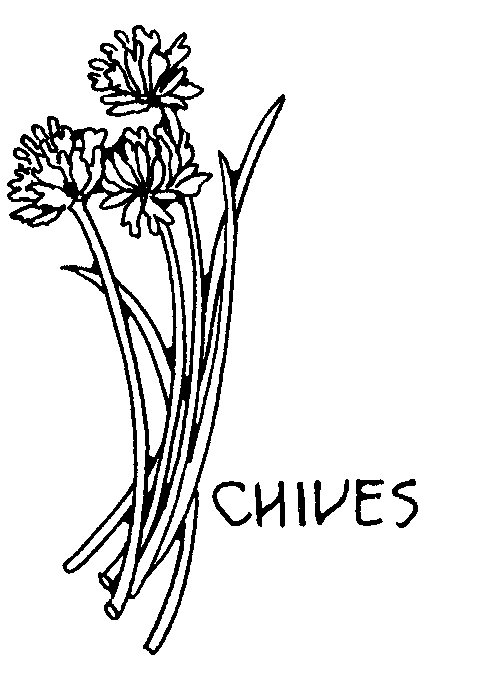 Coloring pages for embroidery herbs
