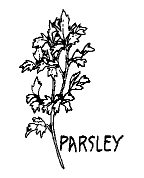 Free parsley cliparts.