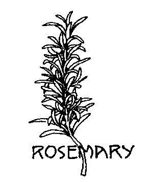 Free rosemary cliparts.
