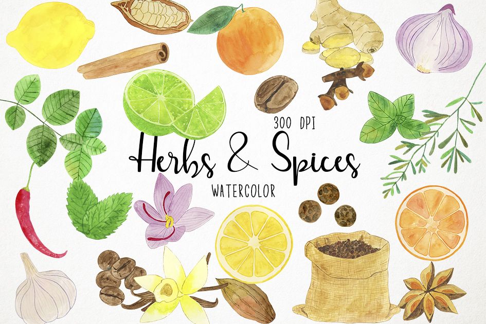 Watercolor herbs clipart.