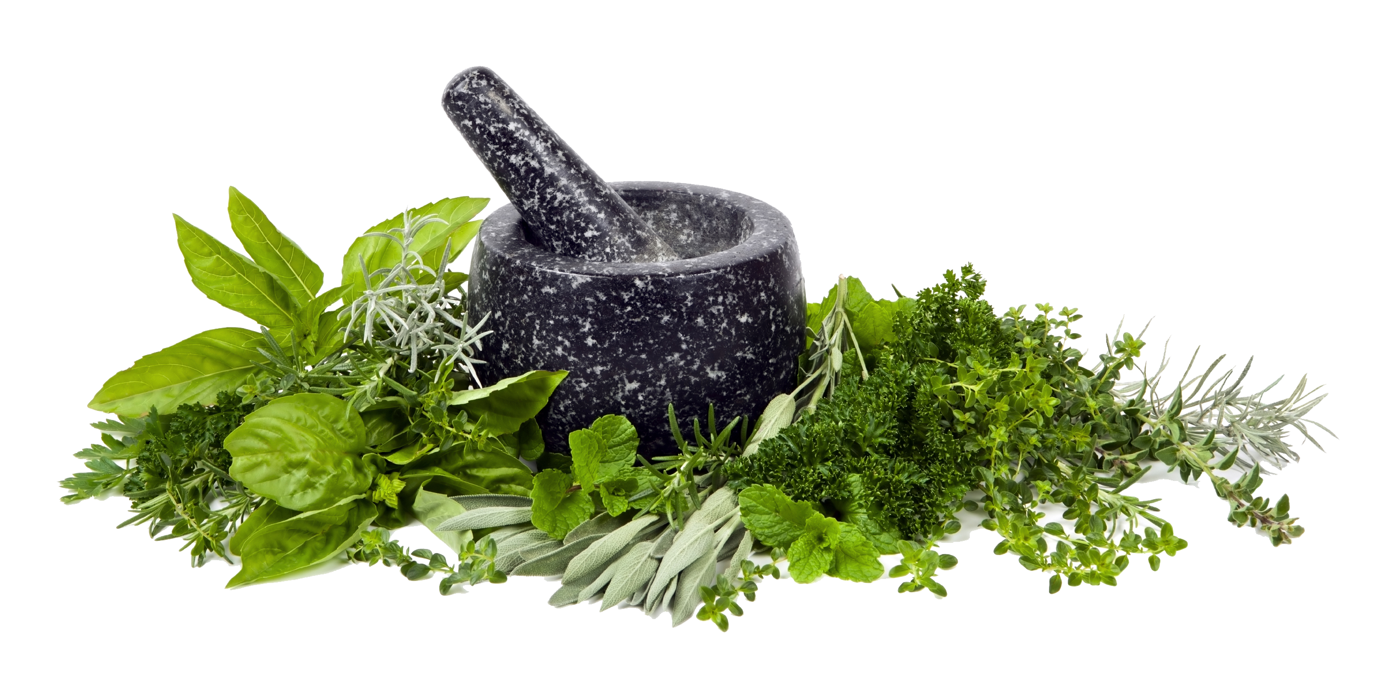 Herbs png images.