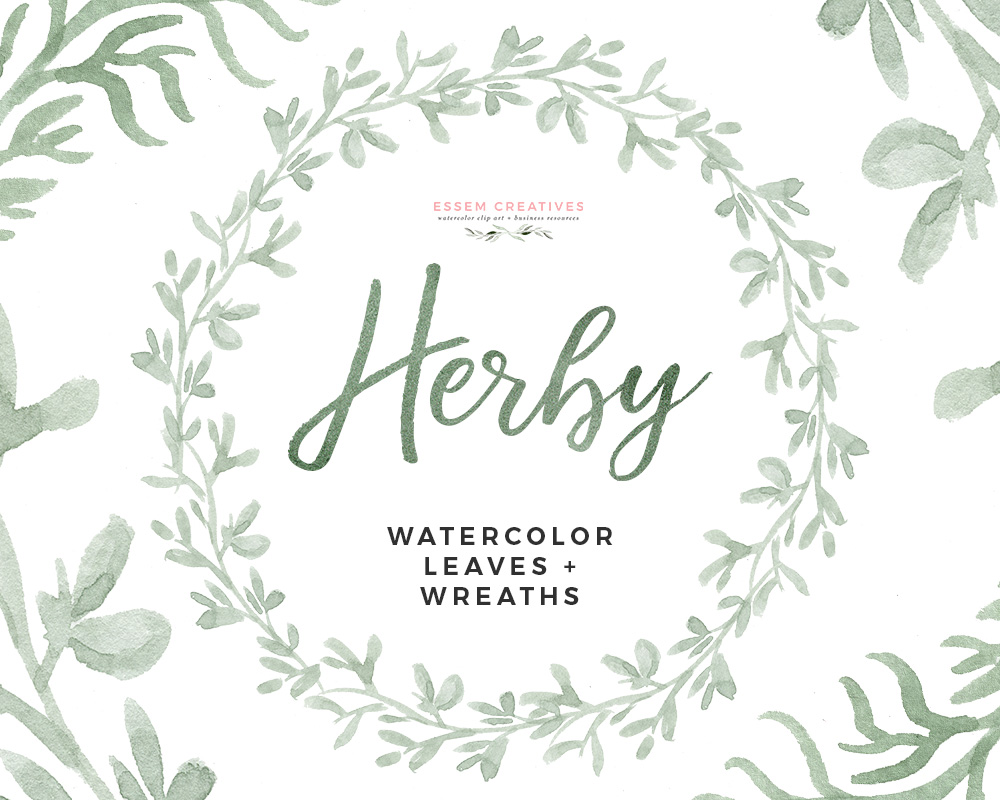 Watercolor herbs clipart.