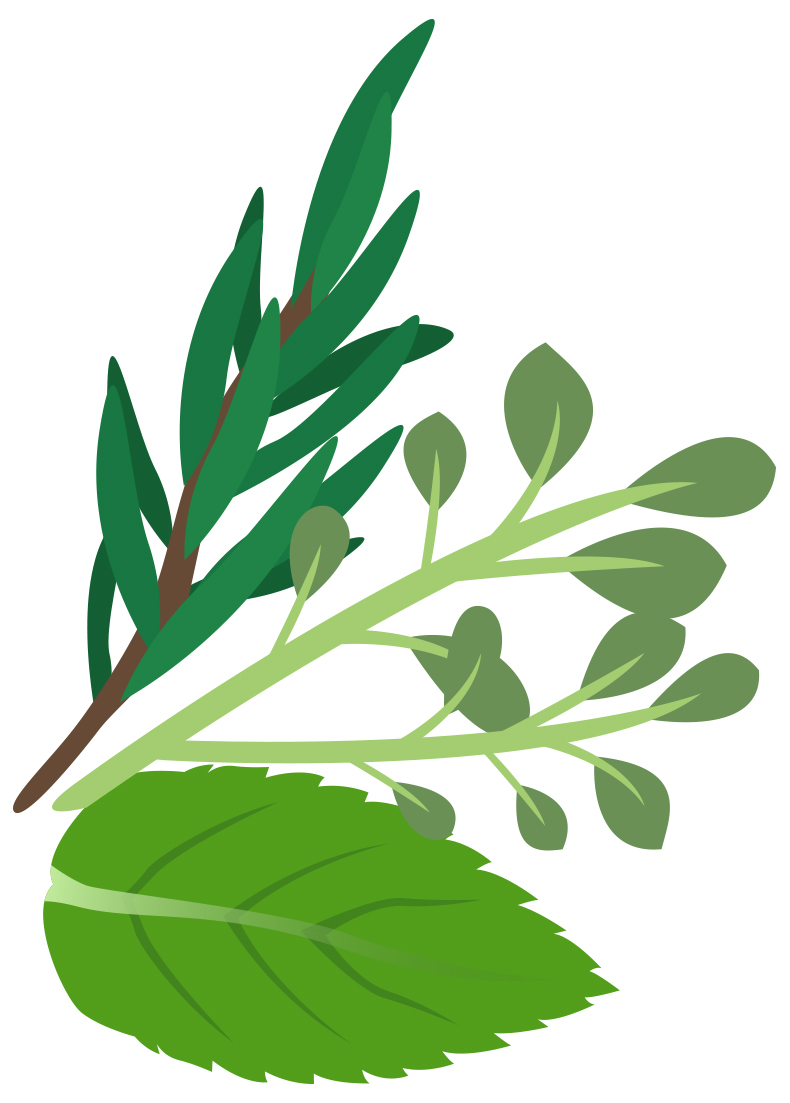 Free Herbs Cliparts, Download Free Clip Art, Free Clip Art