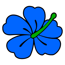 Blue hibiscus flower.