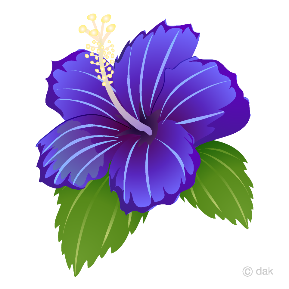 Blue Hibiscus Clipart Free Picture