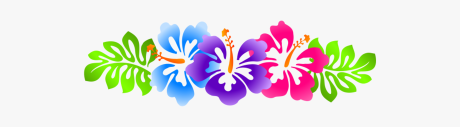Luau Clip Art Borders Free Hibiscus Line