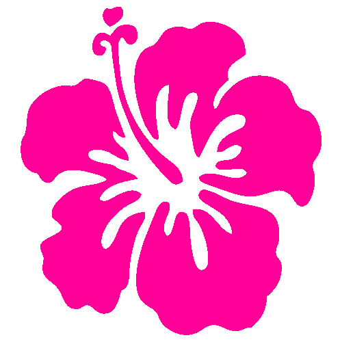 Hibiscus flower cartoon.