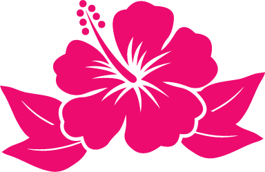 Hibiscus flower cartoon.