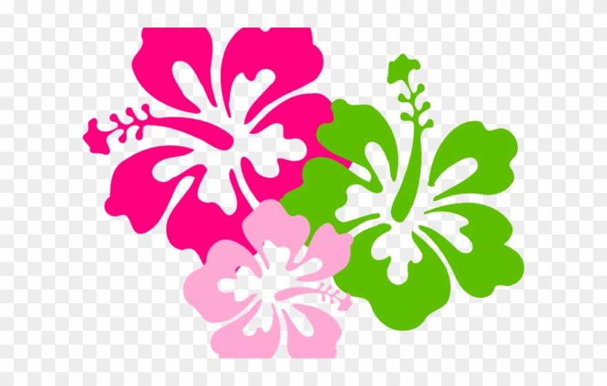 Hibiscus clipart colorful.