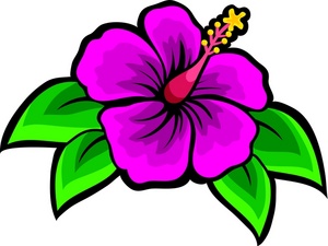 Hibiscus clipart colorful.
