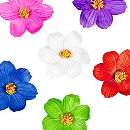 Super Z Outlet Hula Girl Paper Foam Hibiscus Color Assorted Flower Lei  Hawaiian Island Rainforest Theme Hair Clips for Costume, Birthday Party  Favors,