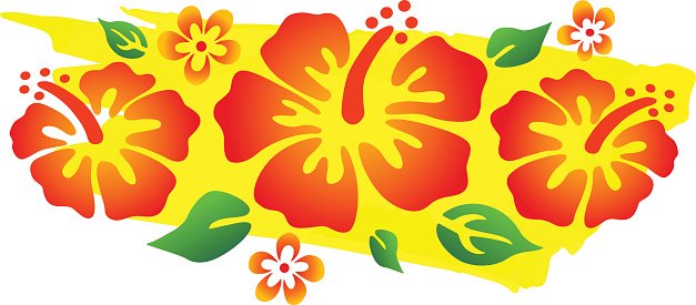 Colorful Hibiscus Flowers premium clipart