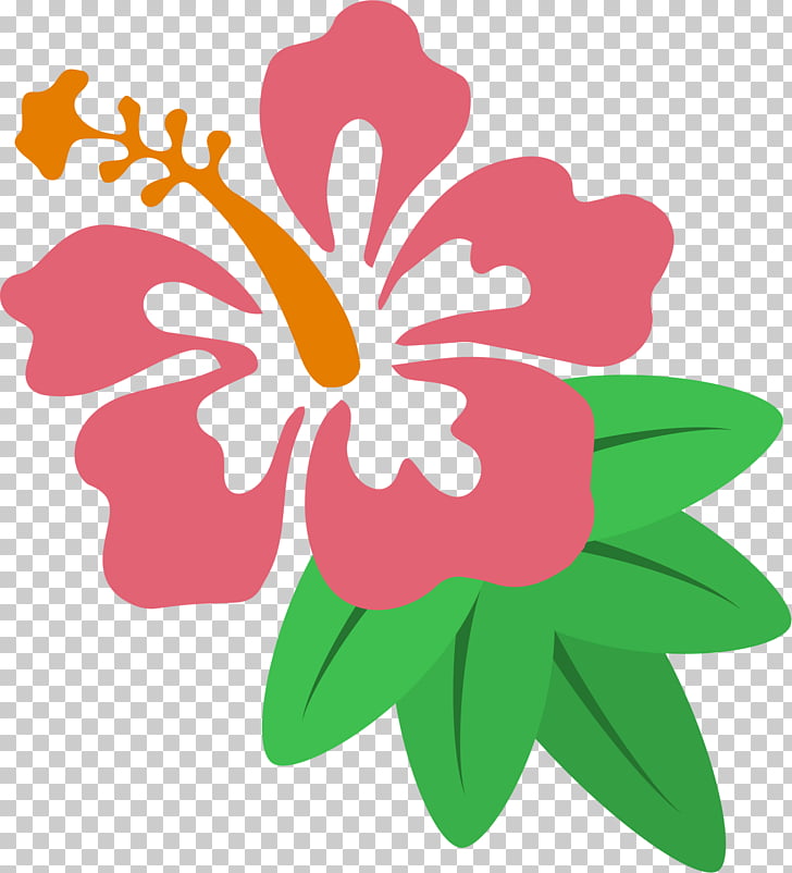 Hawaiian hibiscus drawing.