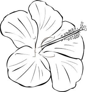 Flower Black and White Clipart