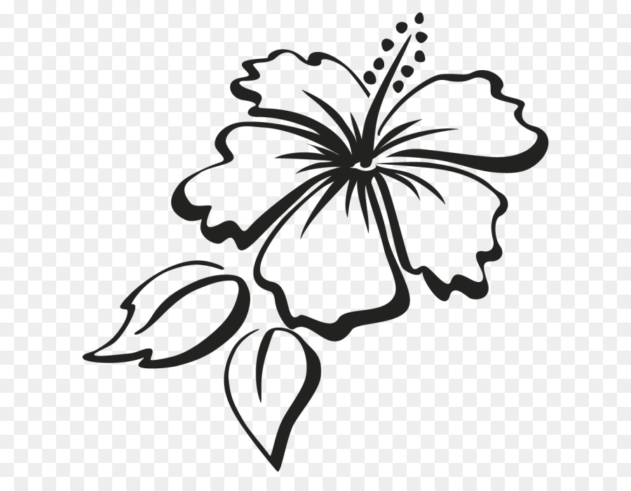 hibiscus clipart outline