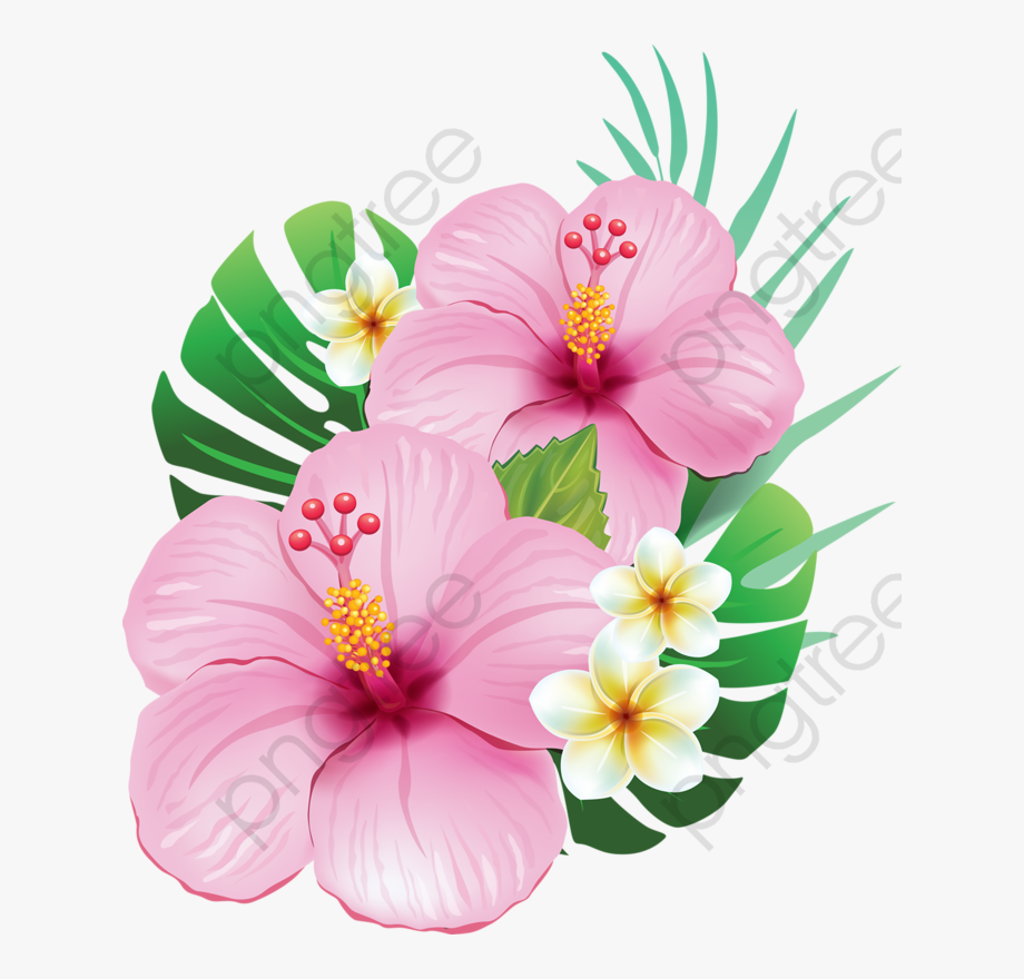 Hibiscus flower clipart.