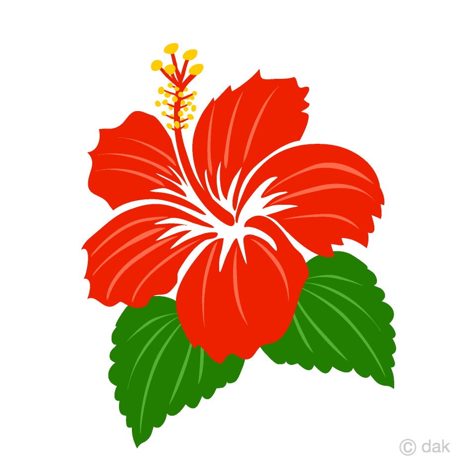 Free Simple Red Hibiscus Clipart Image