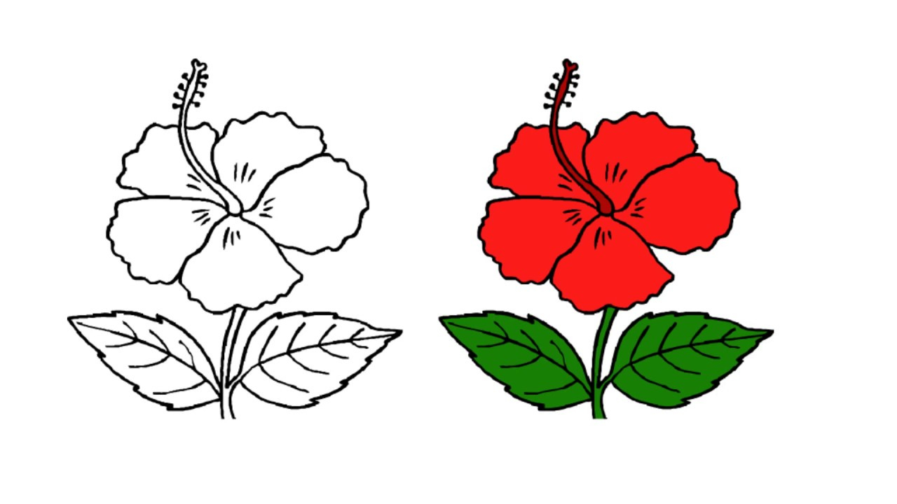 Simple Hibiscus Drawing