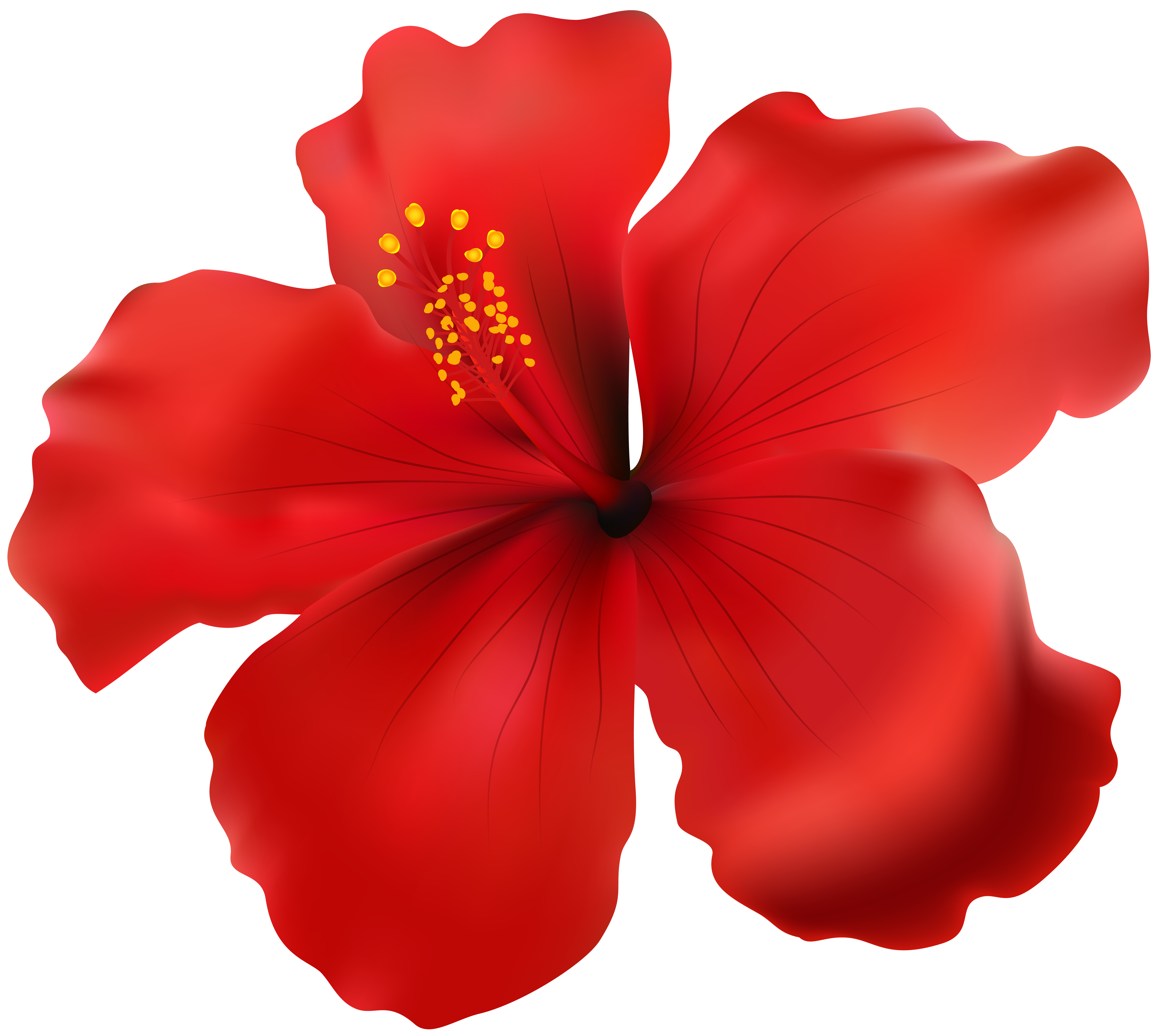 Hibiscus Red Transparent PNG Clip Art Image