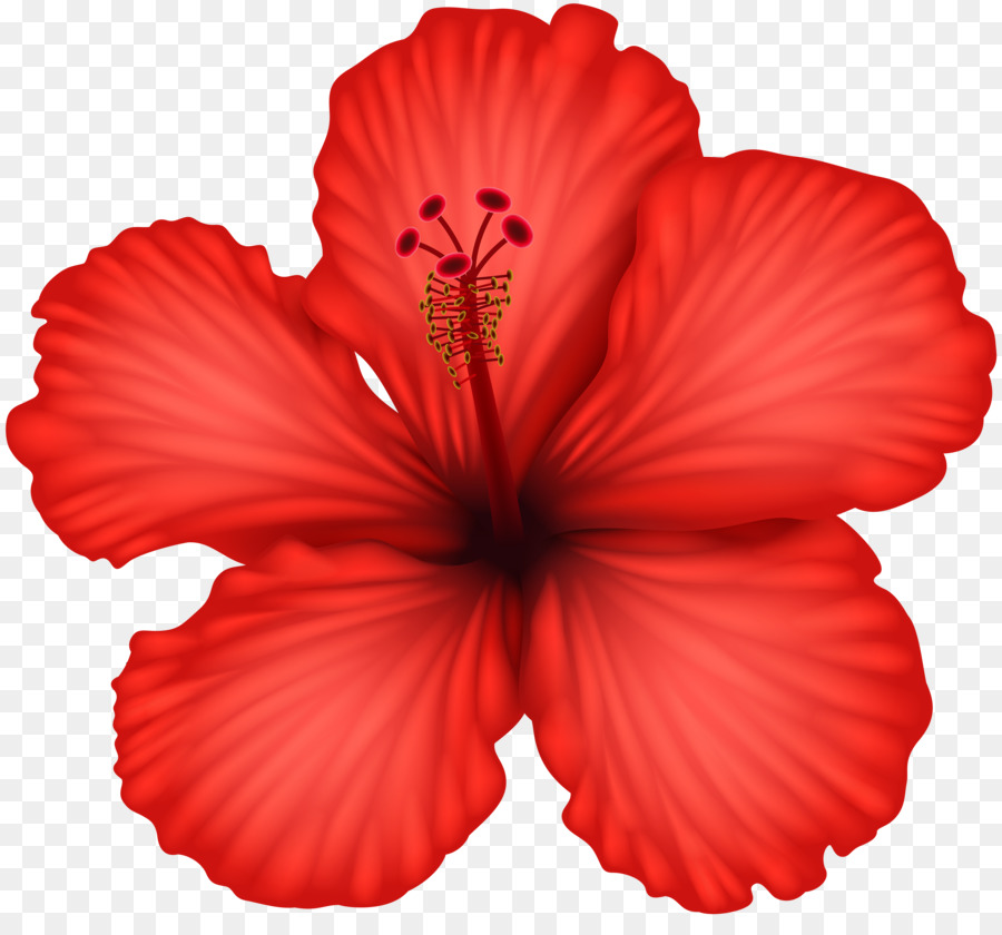 Red Flower clipart