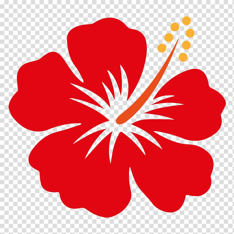 Red hibiscus flower illustration, Hawaii Shoeblackplant