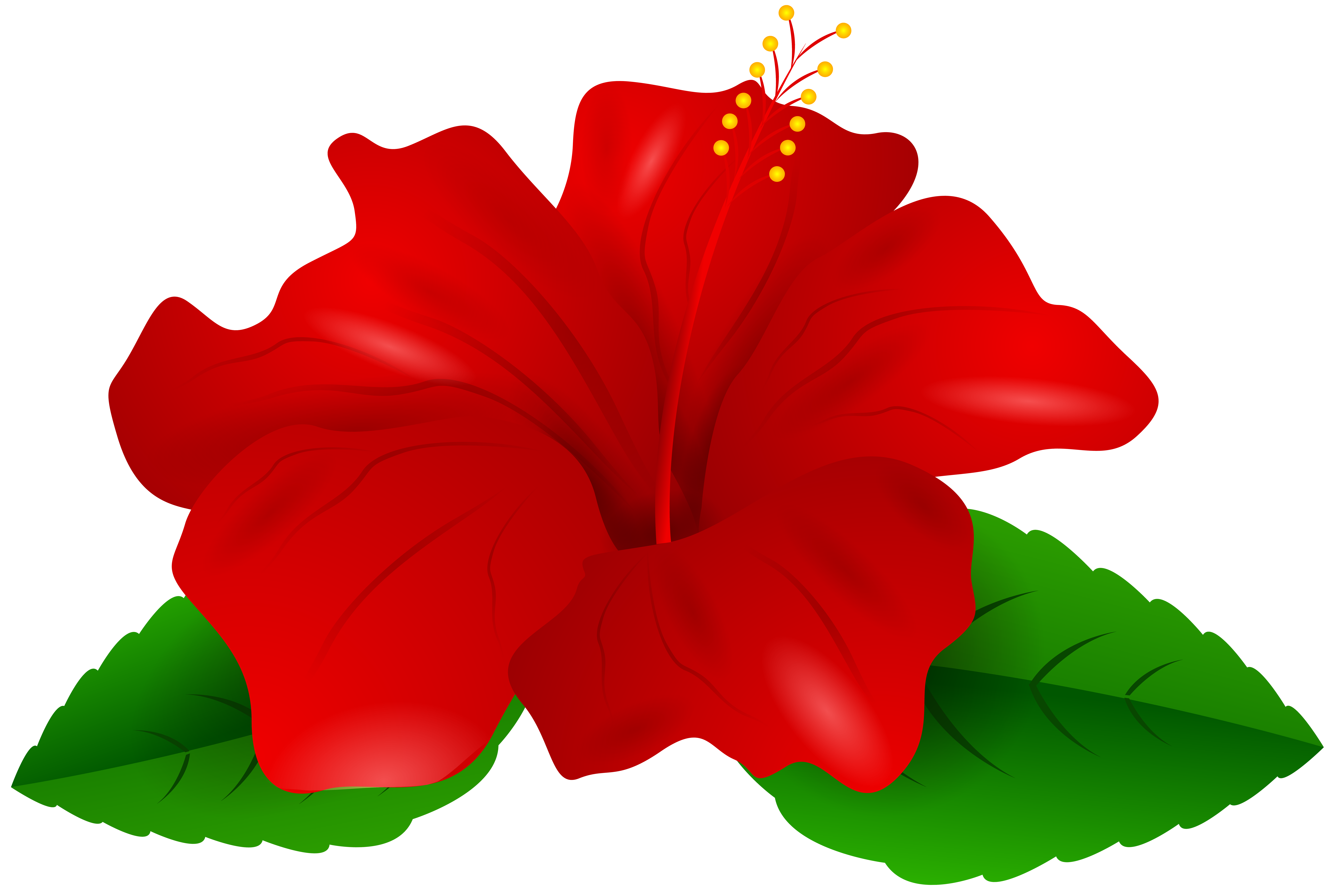 Red Hibiscus Transparent PNG Clip Art