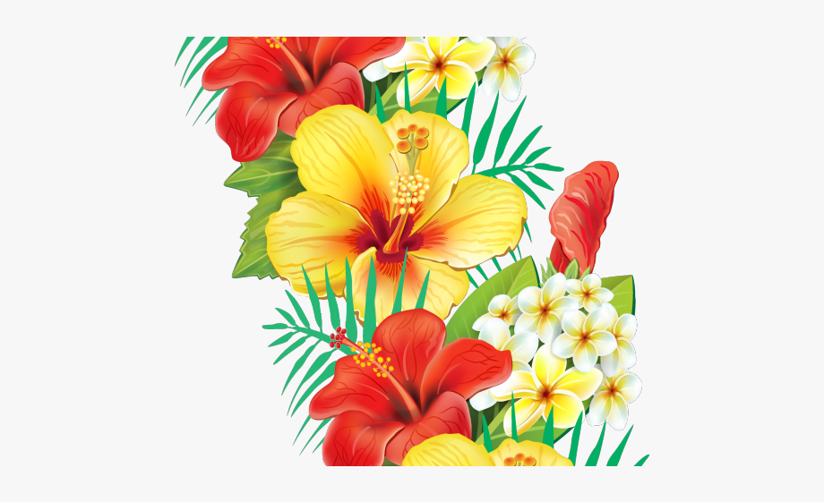 Hibiscus Clipart Flower Boarder