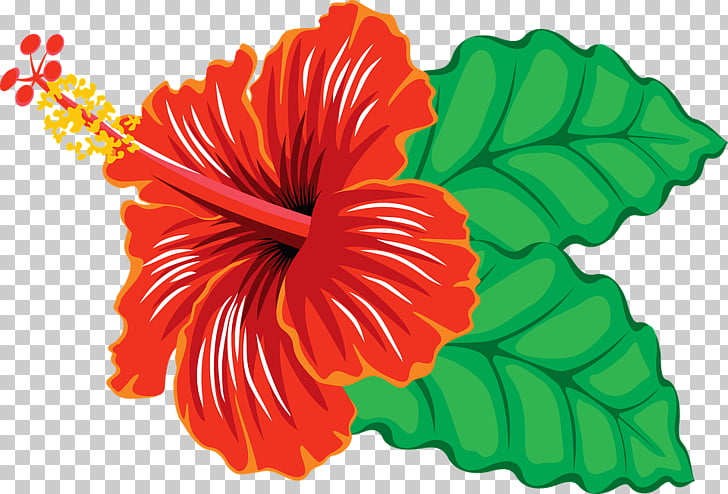 Yellow hibiscus , tropical leaf PNG clipart