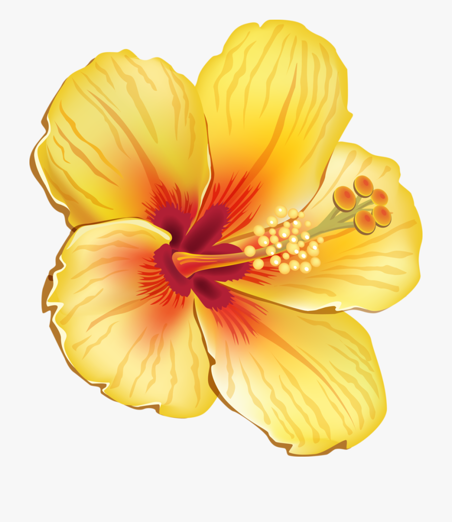 Tropical flowers clipart.