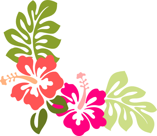hibiscus clipart vector