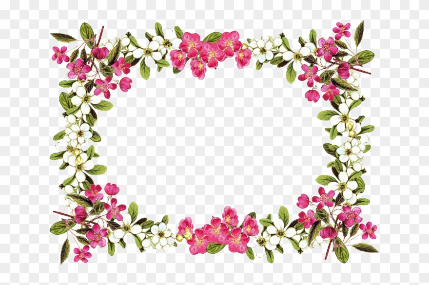 Flowers borders clipart.