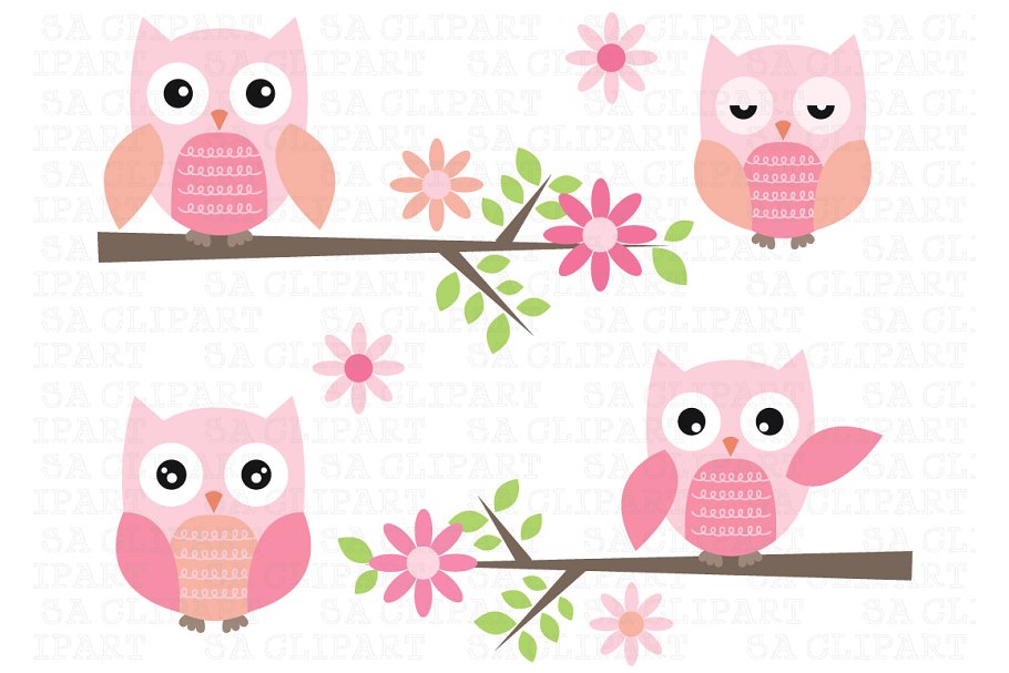 Cute Owl Clipart