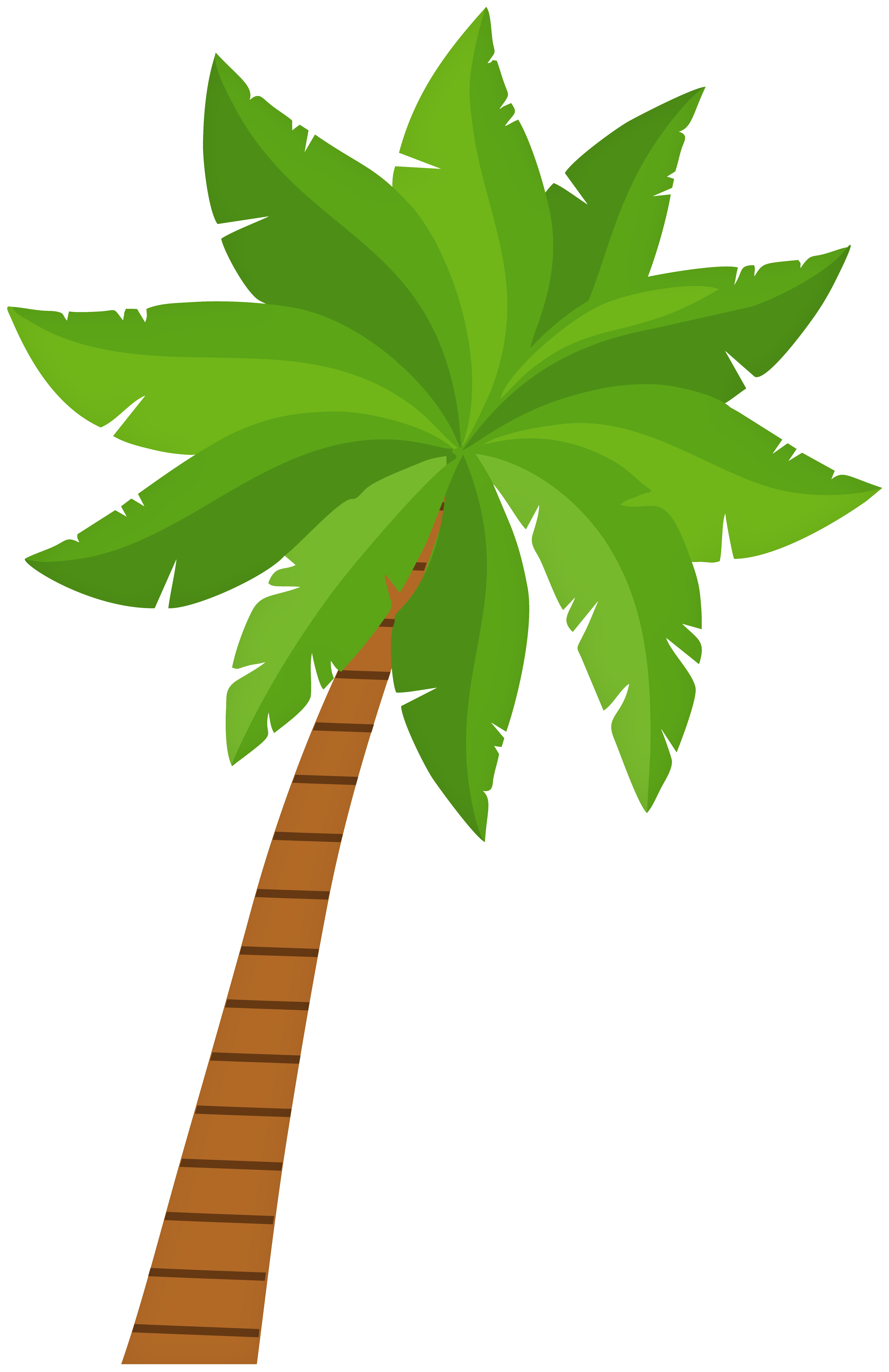 high resolution clipart palm tree