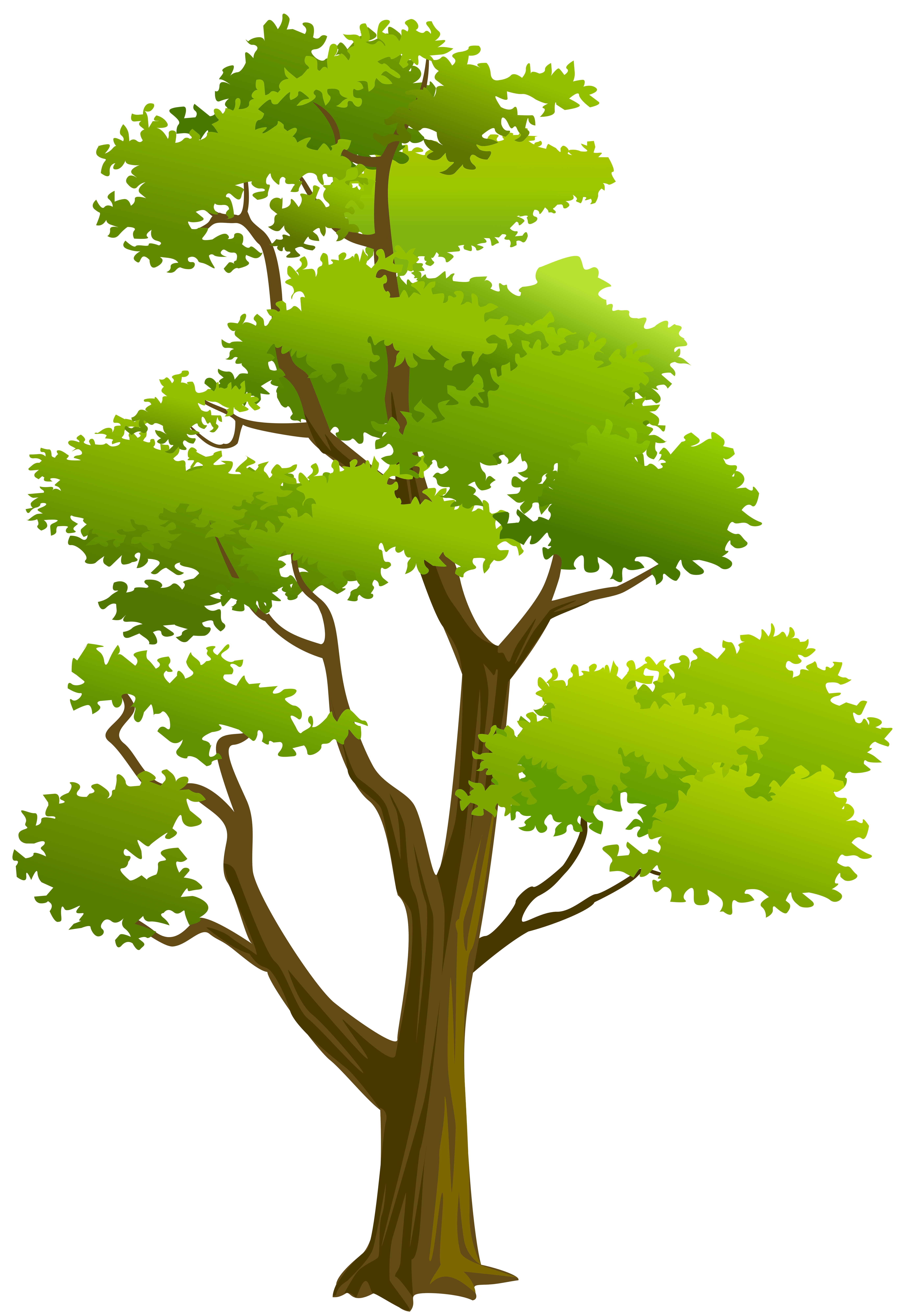 Tree png clip.