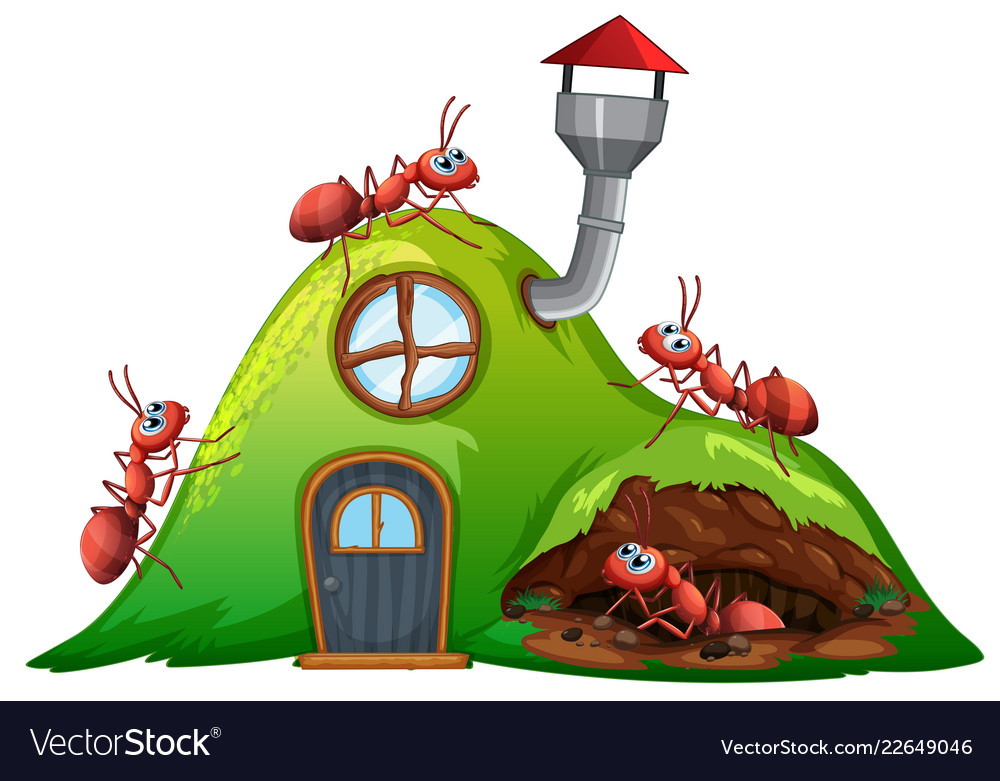 Ant hill house on white background