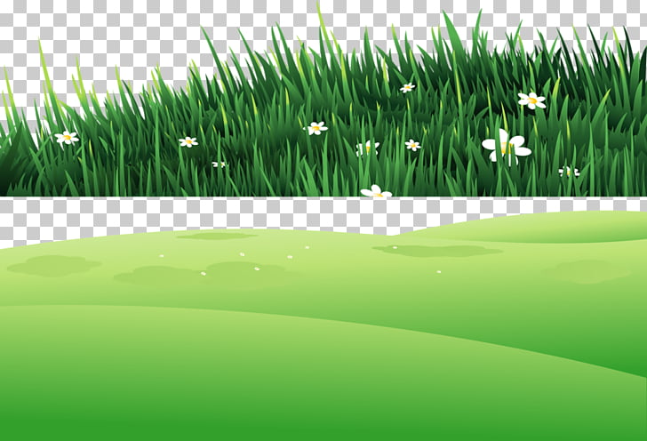 Grass on the hill PNG clipart