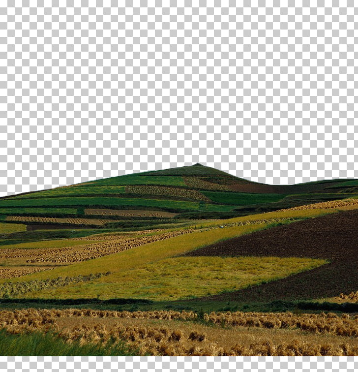 Hill Euclidean Grade, The farmland on the hillside PNG