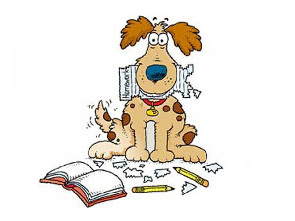 Dog ate homework.